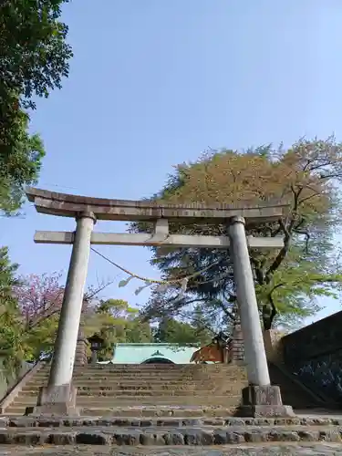 子鍬倉神社の鳥居