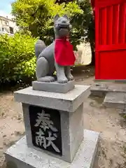 甚九郎稲荷神社の狛犬