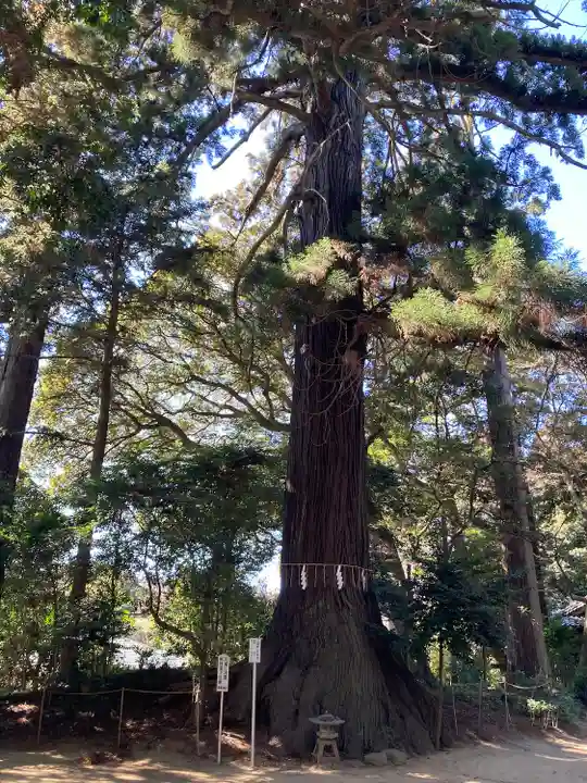 側高神社(千葉県)