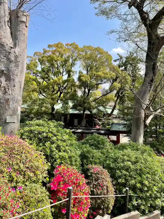 根津神社(東京都)