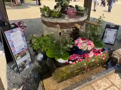 深大寺(東京都)