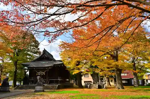 高彦根神社(新潟県)