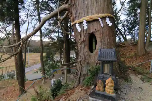 阿久津「田村神社」（郡山市阿久津町）旧社名：伊豆箱根三嶋三社の自然