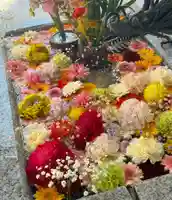 札幌諏訪神社の手水舎