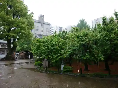 湯島天満宮の庭園