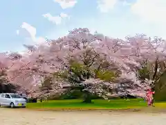 女化神社(茨城県)