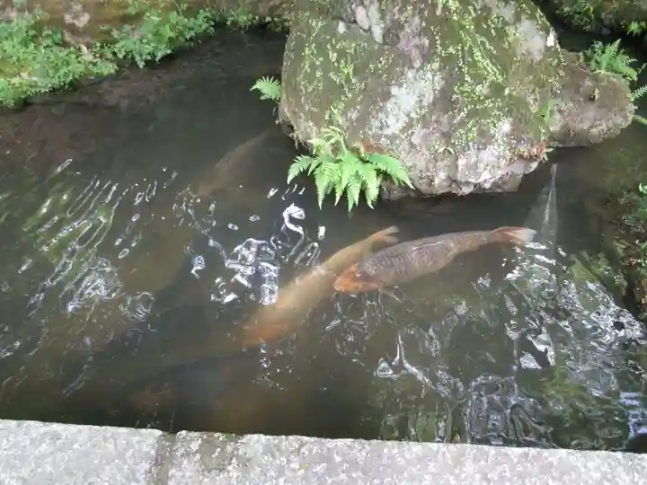 石山寺(滋賀県)