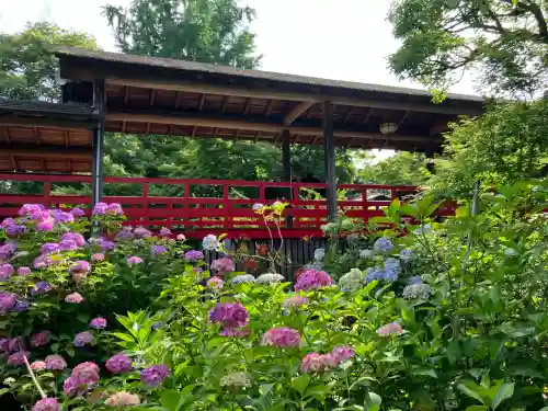 本土寺(千葉県)