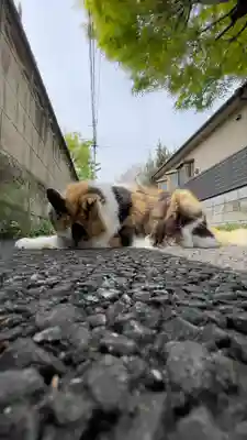 正受院(東京都)