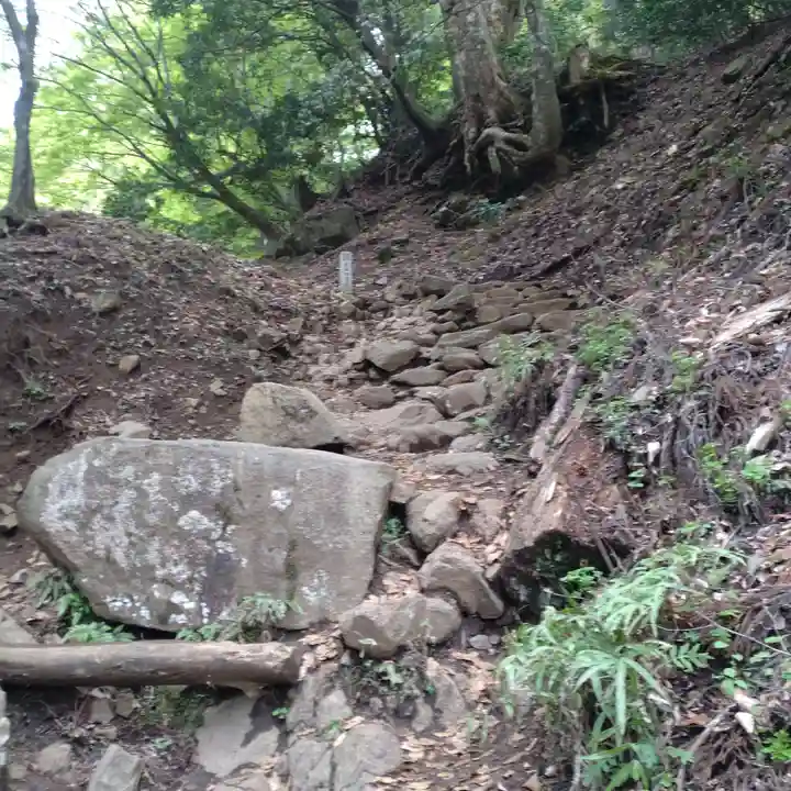 大山阿夫利神社本社(神奈川県)