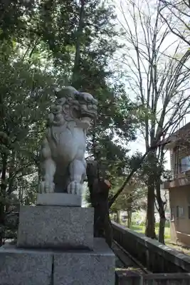 山梨縣護國神社の狛犬