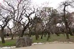 北野天満宮の庭園