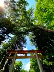 武水別神社の鳥居