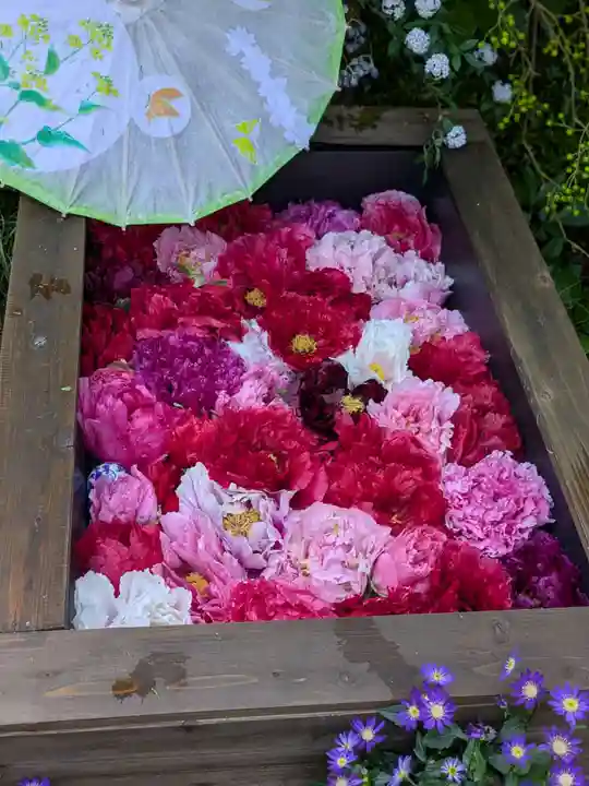 上野東照宮(東京都)