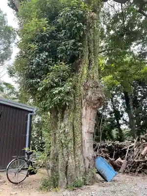 今八幡宮(山口県)