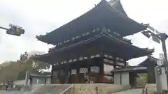 仁和寺の山門