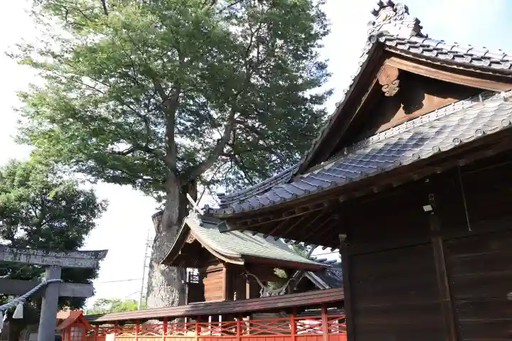 橘神社(埼玉県)