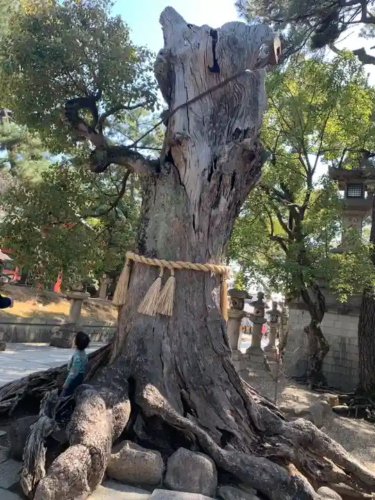 住吉大社の自然