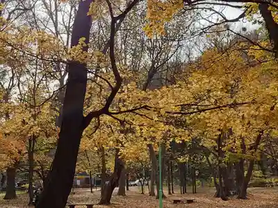 北海道神宮の自然