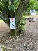 竹鳳院(岐阜県)
