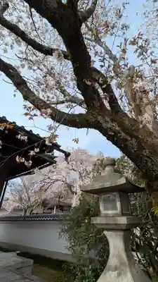 本満寺(本願満足寺)(京都府)