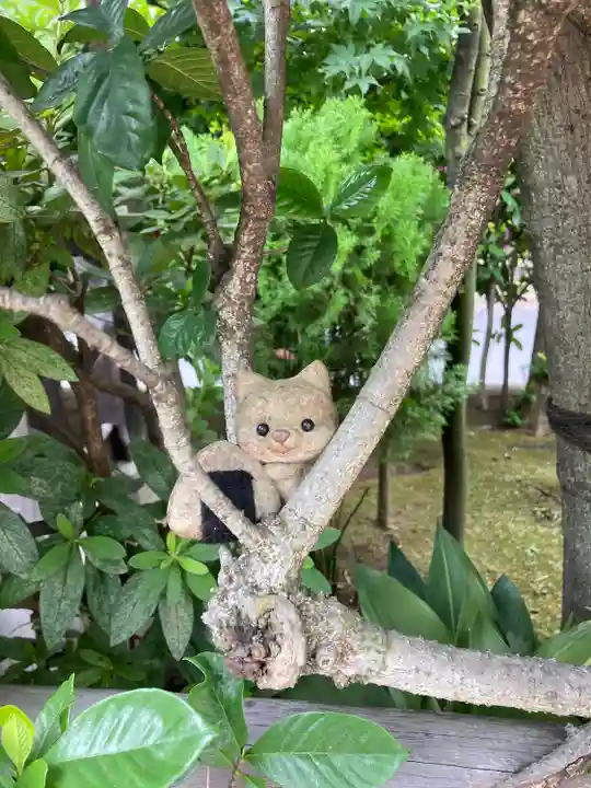 高木神社の自然