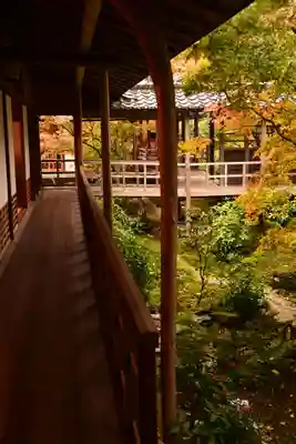 安楽寺(京都府)