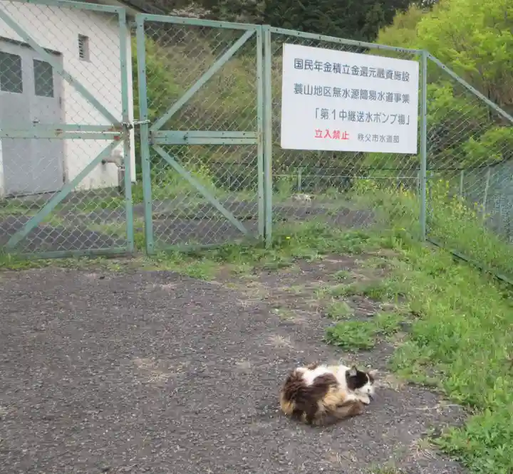 聖神社(埼玉県)