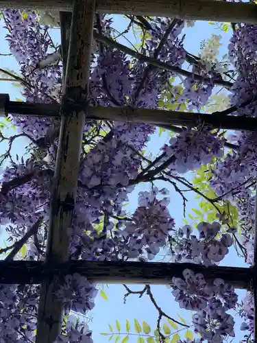 楽法寺（雨引観音）の自然