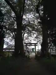 智賀都神社の鳥居