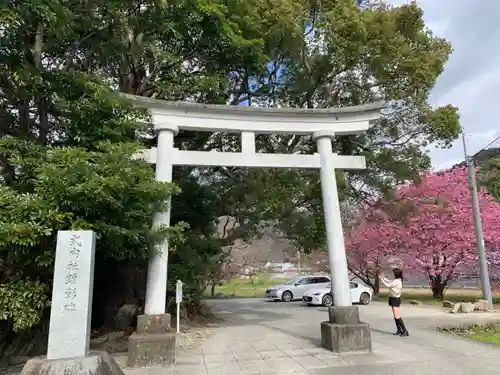 川津来宮神社の鳥居