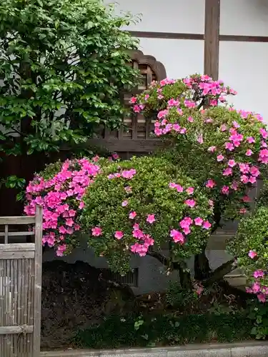 明言寺（石打こぶ観音）の庭園