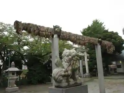 奥戸天祖神社の狛犬