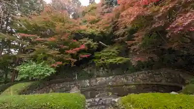 善峯寺(京都府)