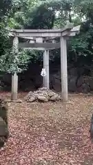 木嶋坐天照御魂神社(京都府)