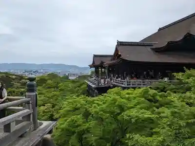 清水寺の本殿・本堂