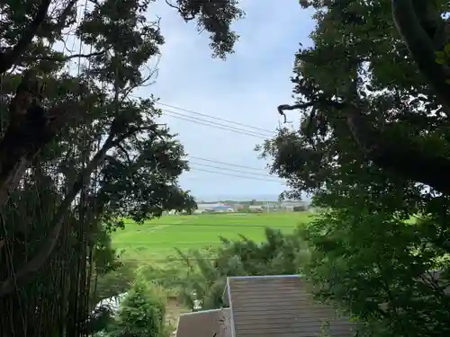 神社(名称不明)の景色