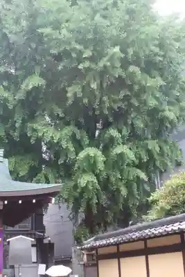 本能寺(京都府)