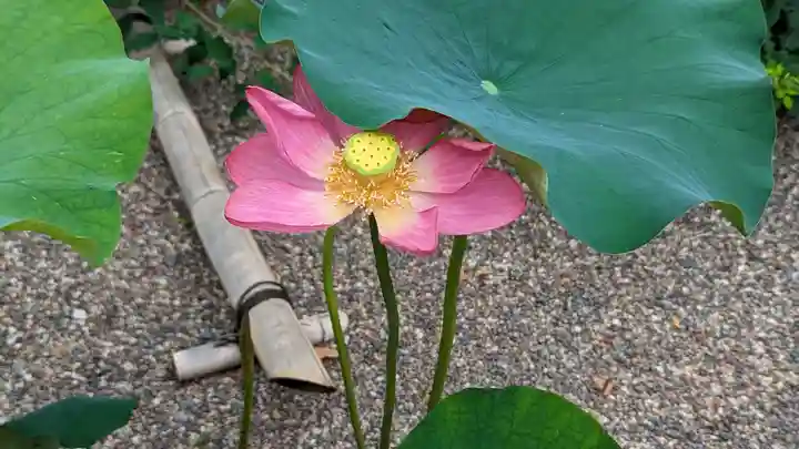 後白河院御聖蹟 法住寺(京都府)