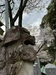 豊葦原神社の狛犬