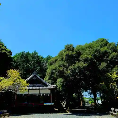 曽許乃御立神社(静岡県)