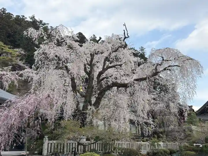 久遠寺(山梨県)