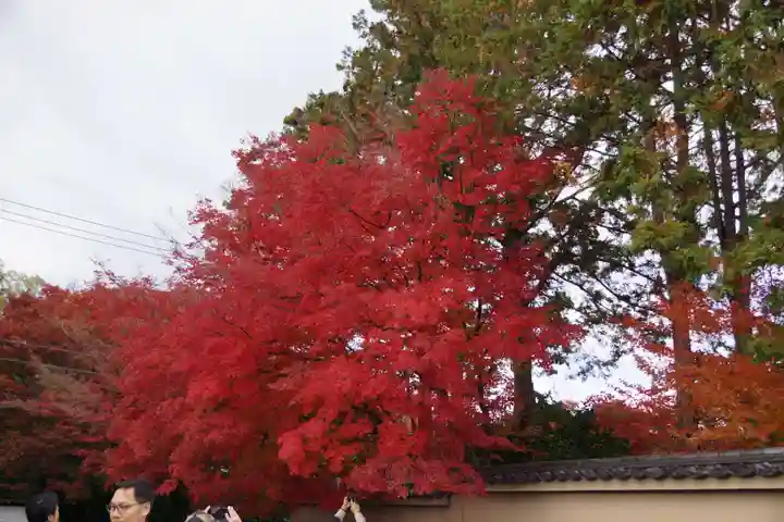 東福禅寺(東福寺)(京都府)
