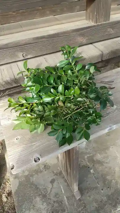 鹿嶋三嶋神社(茨城県)