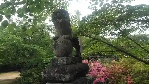 赤尾神社の狛犬