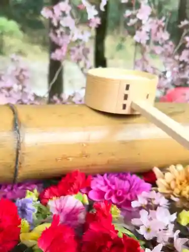 群馬県護国神社(群馬県)