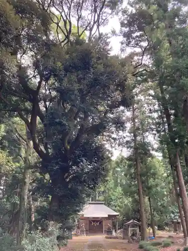 鹿島静神社(茨城県)