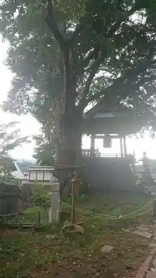 北向観音のその他建物