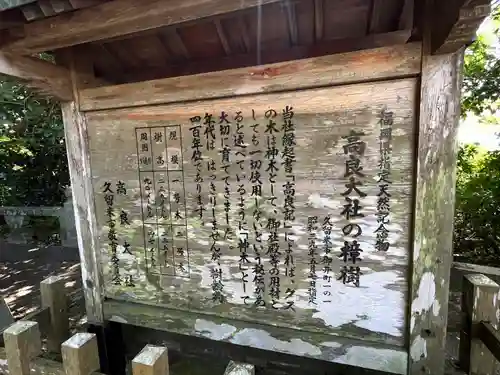 高良大社(福岡県)