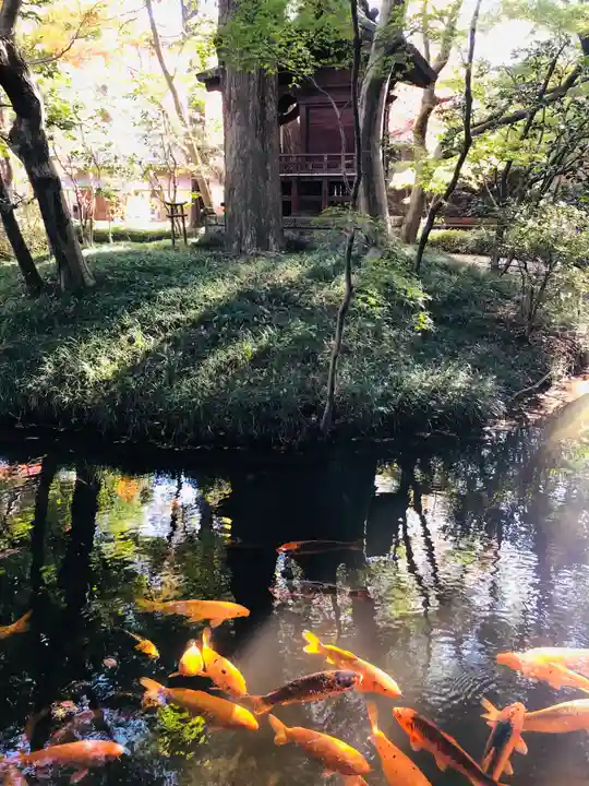平林寺の庭園